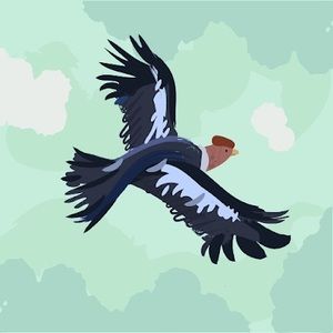 Meet your Posher, Magdalena